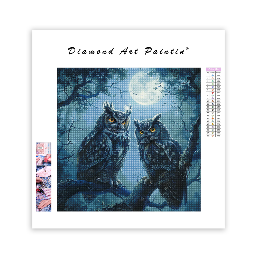 Owl Brothers - Diamond Painting