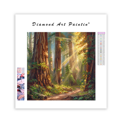 Old Forest - Diamond Painting