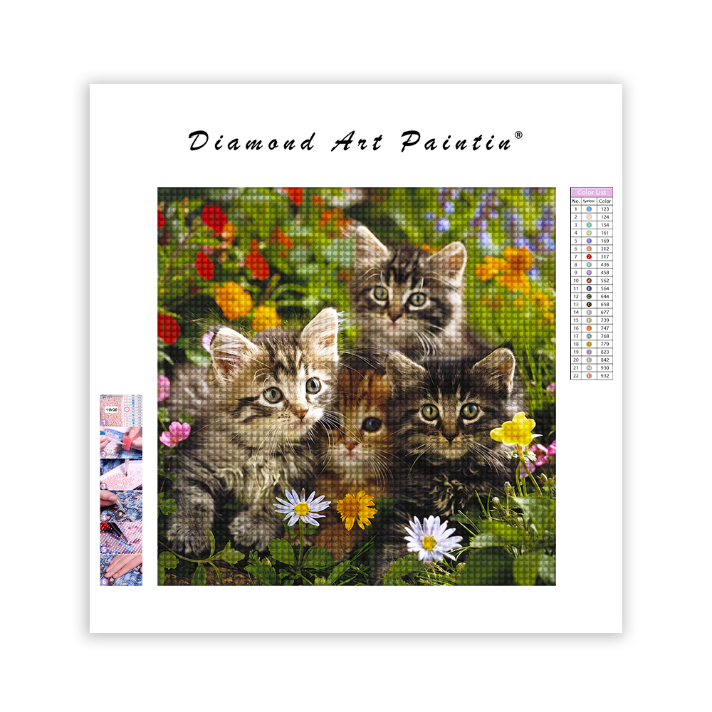 Kittens Playing in Garden - Diamond Painting