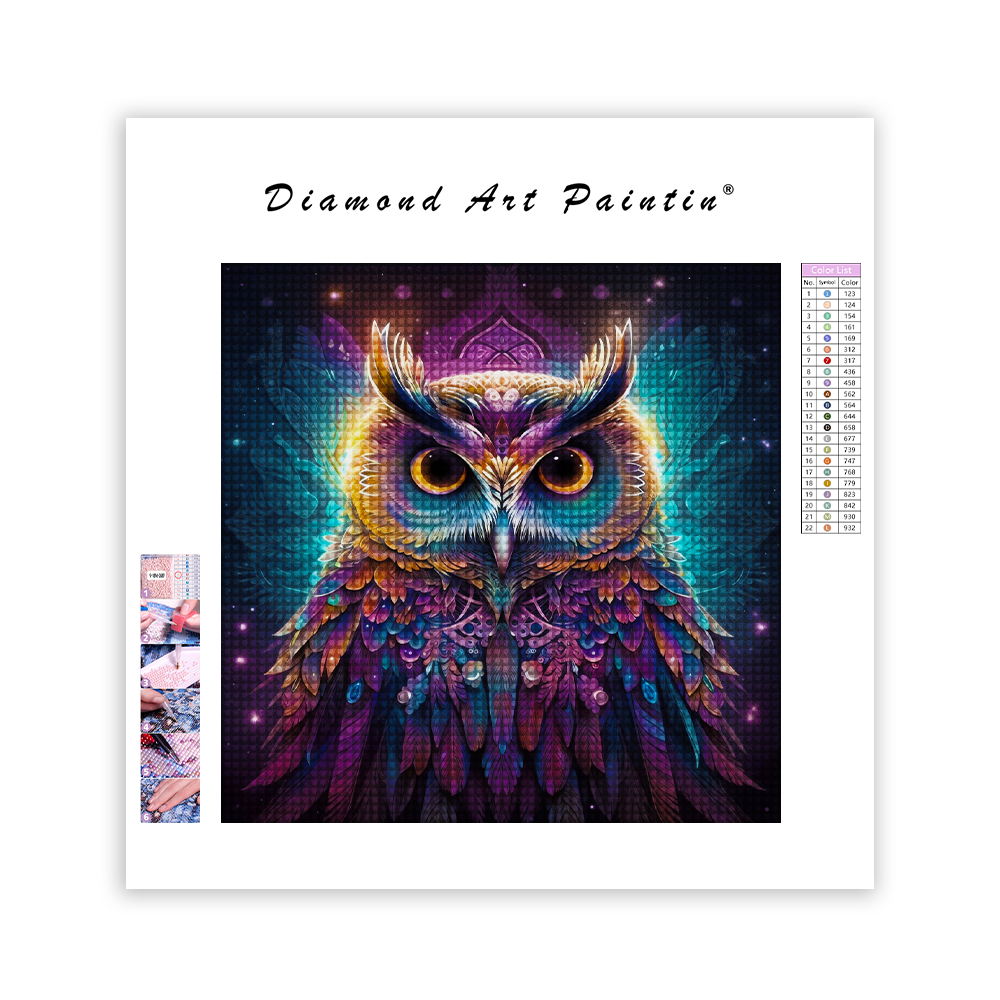 Magical Owl - Diamond Painting