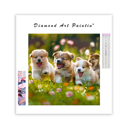 Fluffy Puppies Playing - Diamond Painting