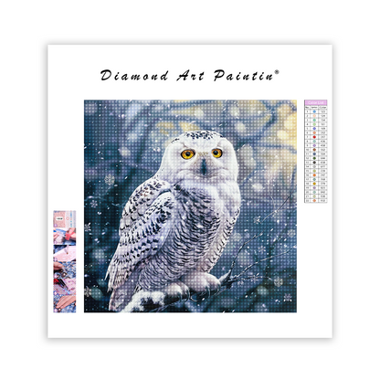 Wise Looking Snowy Owl - Diamond Painting