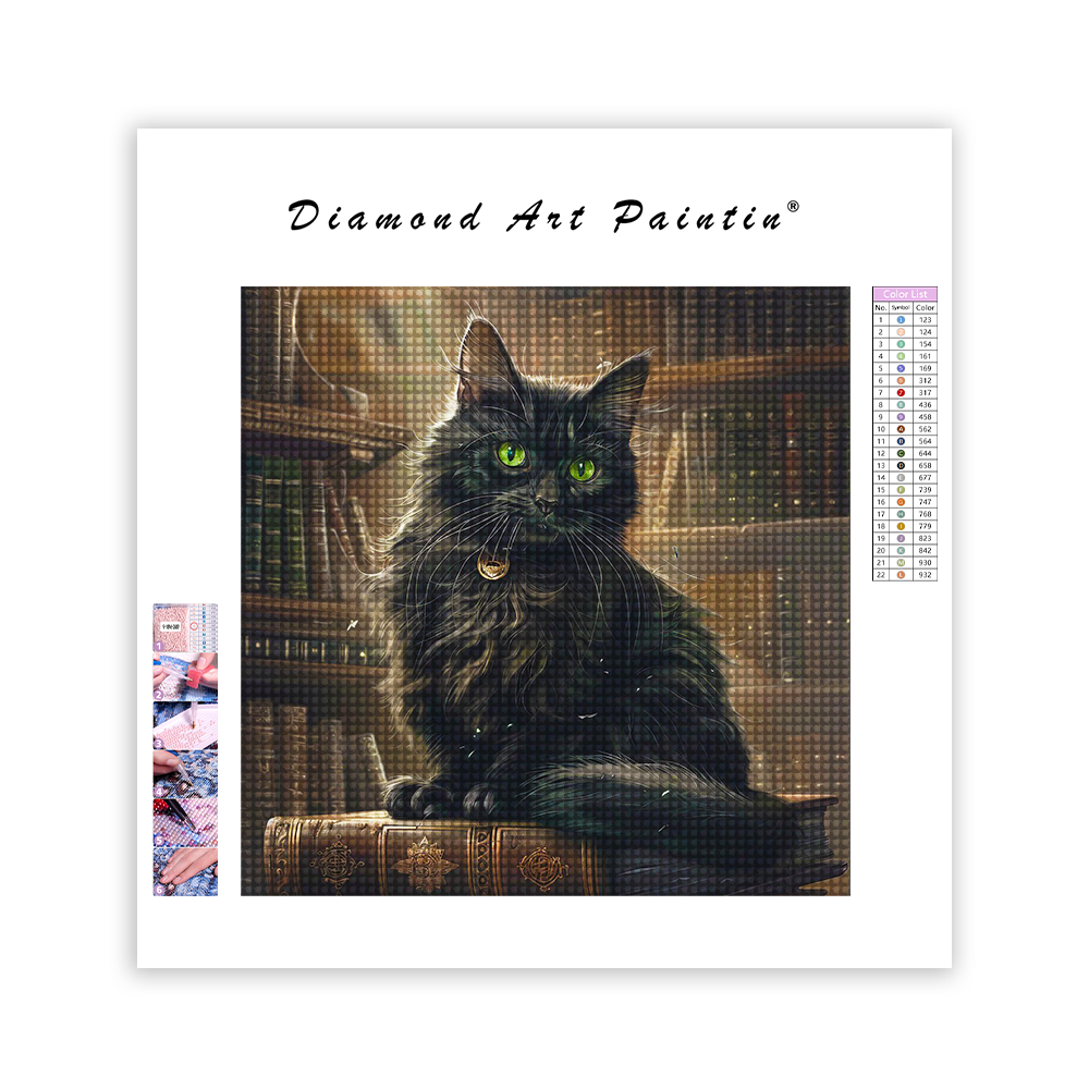 Black Cat On Stack Of Books - Diamond Painting