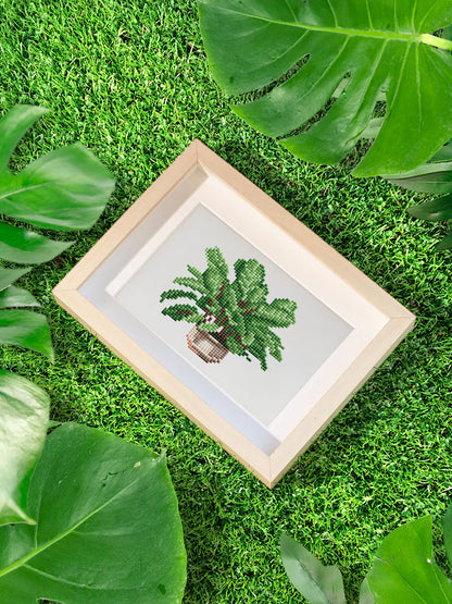 Houseplants Edition 2 - Mini Painting