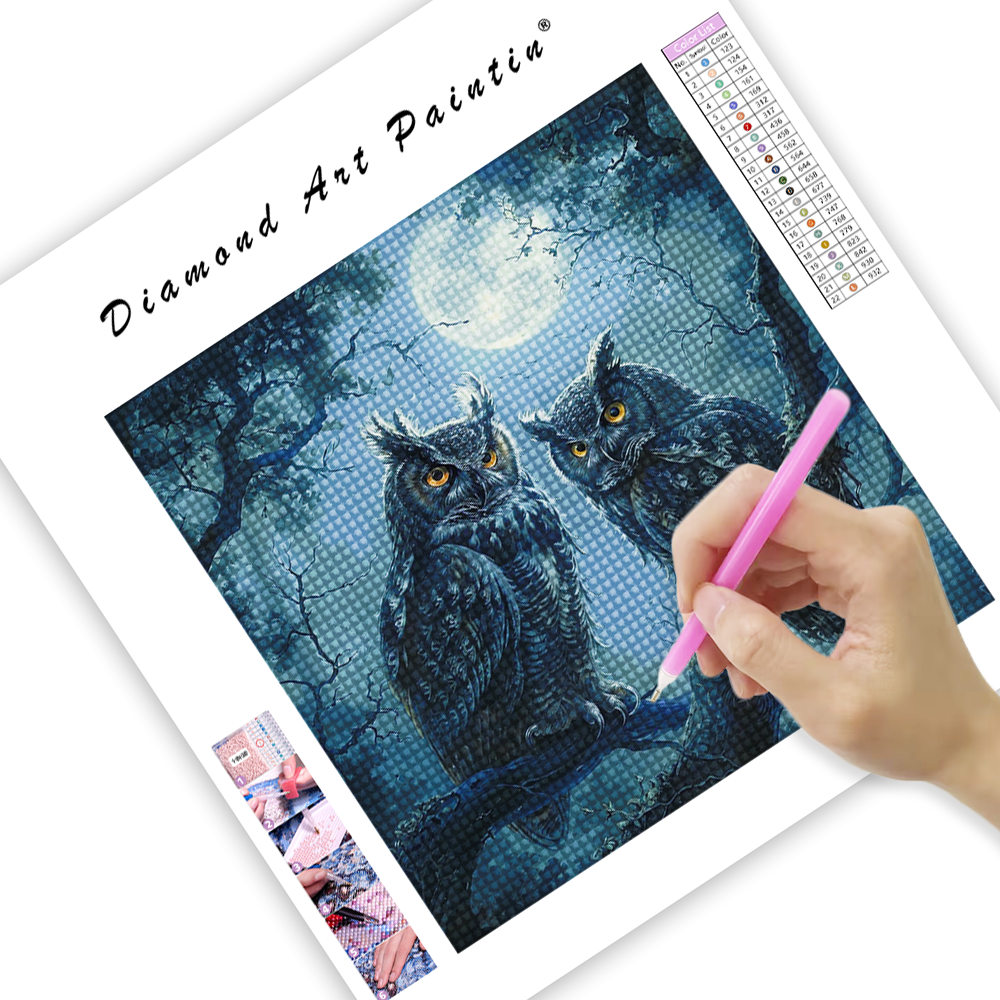 Owl Brothers - Diamond Painting